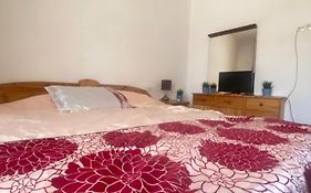 AMPLIO y CÉNTRICO APARTAMENTO CON APARCAMIENTO GRATUITO ALREDEDOR
